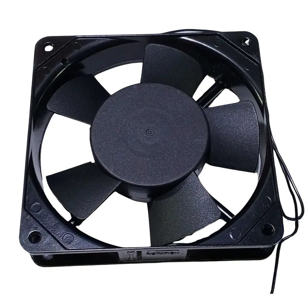 imagen 2024 09 28 004925084