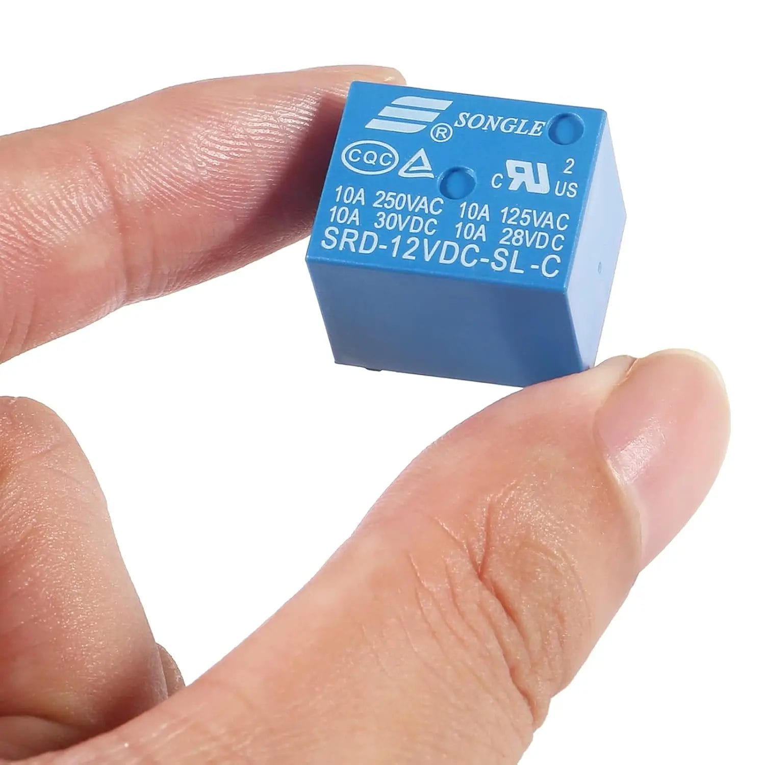 imagen 2025 03 02 013447159