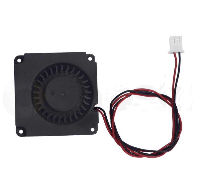 INICIO 10 image 2026 02 21 164940281